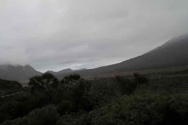 * Image 16