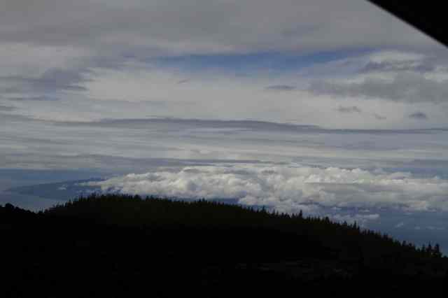 * Image 19
