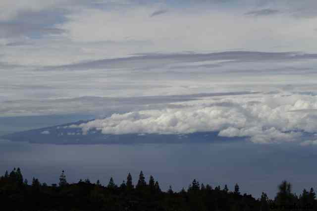 * Image 20