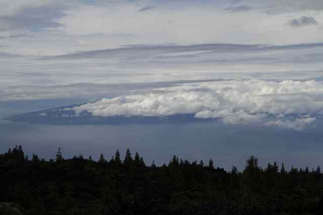 * Image 21