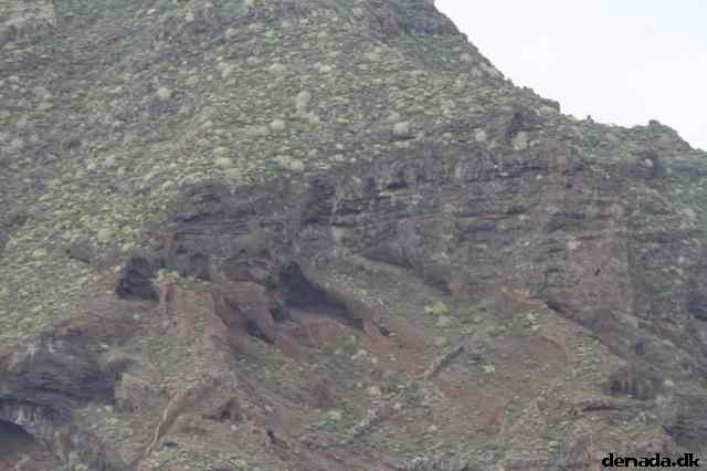 * Image 29
