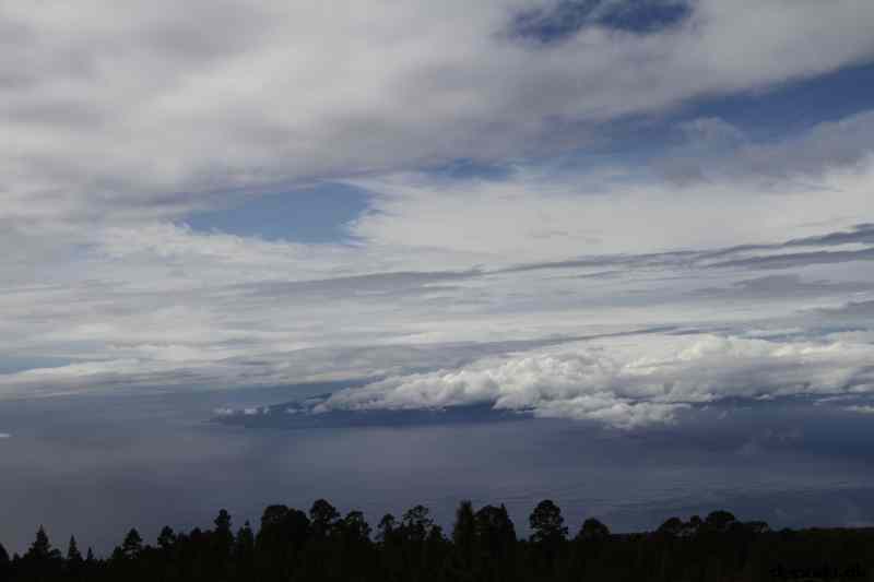 * Image 22
