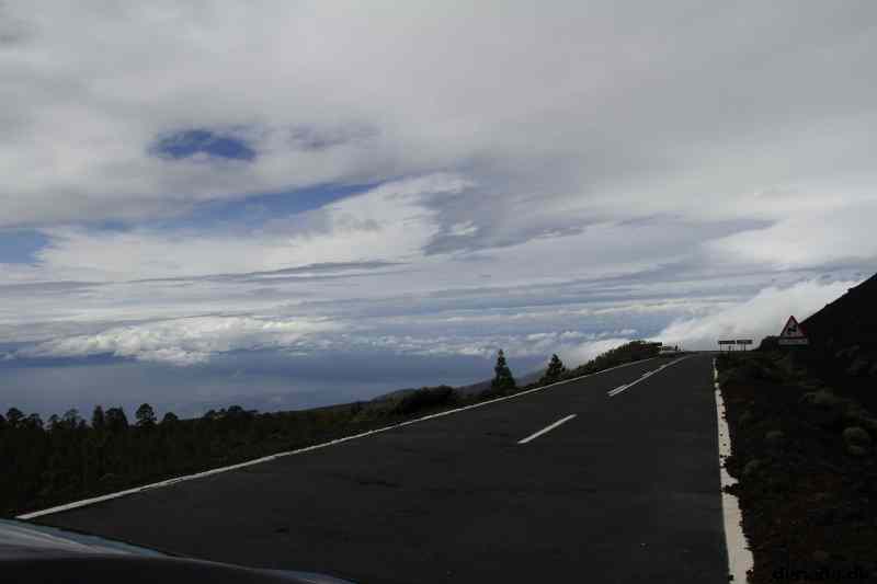 * Image 23